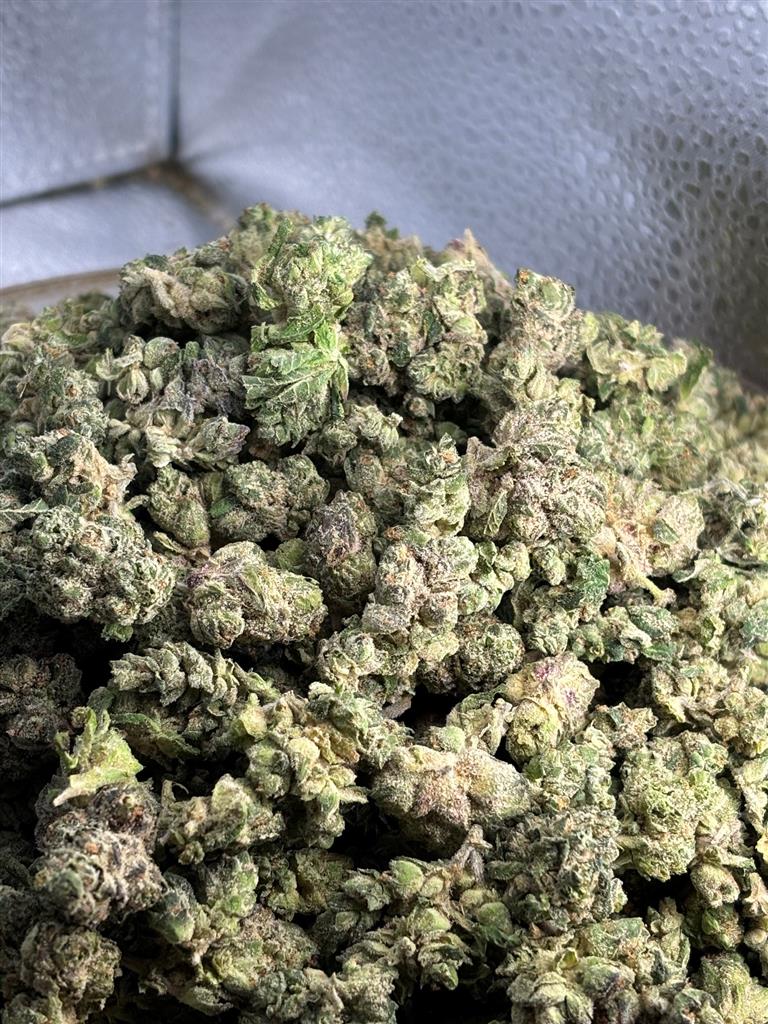 SFV OG  Exotic smalls