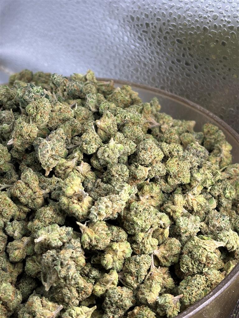 SFV OG Indoor Smalls
