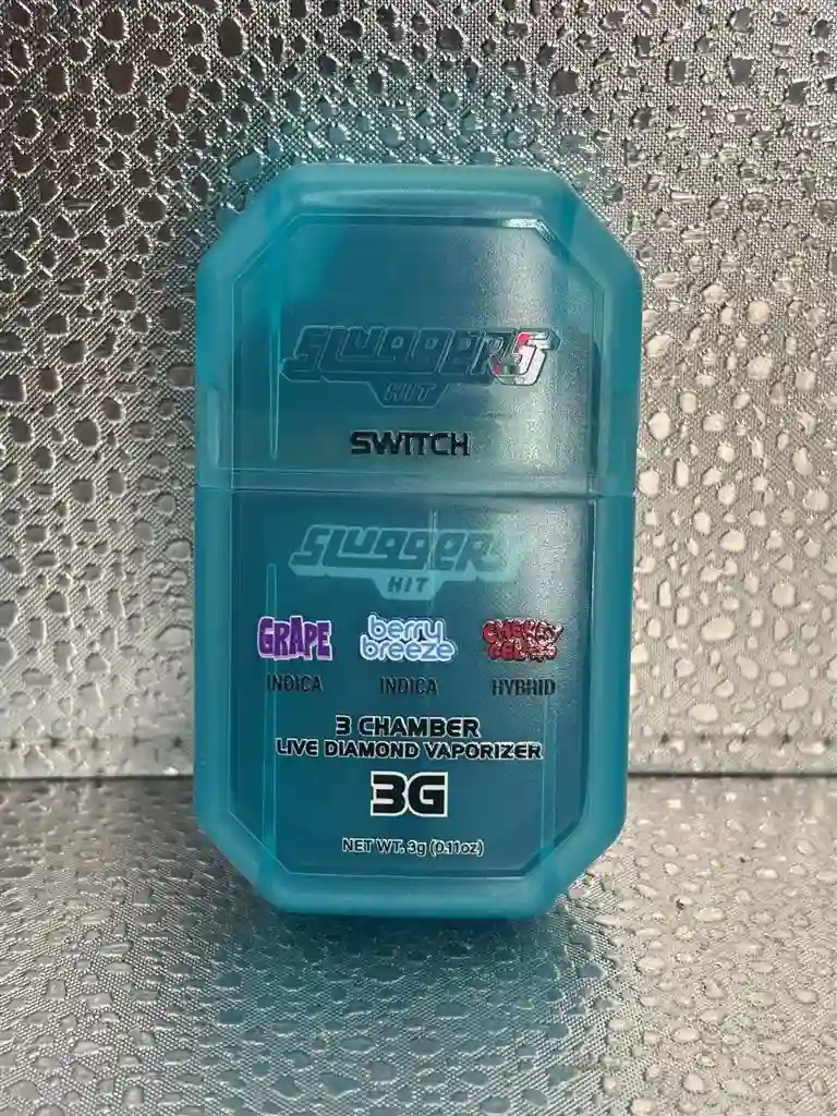Sluggers Hit Switch 3g