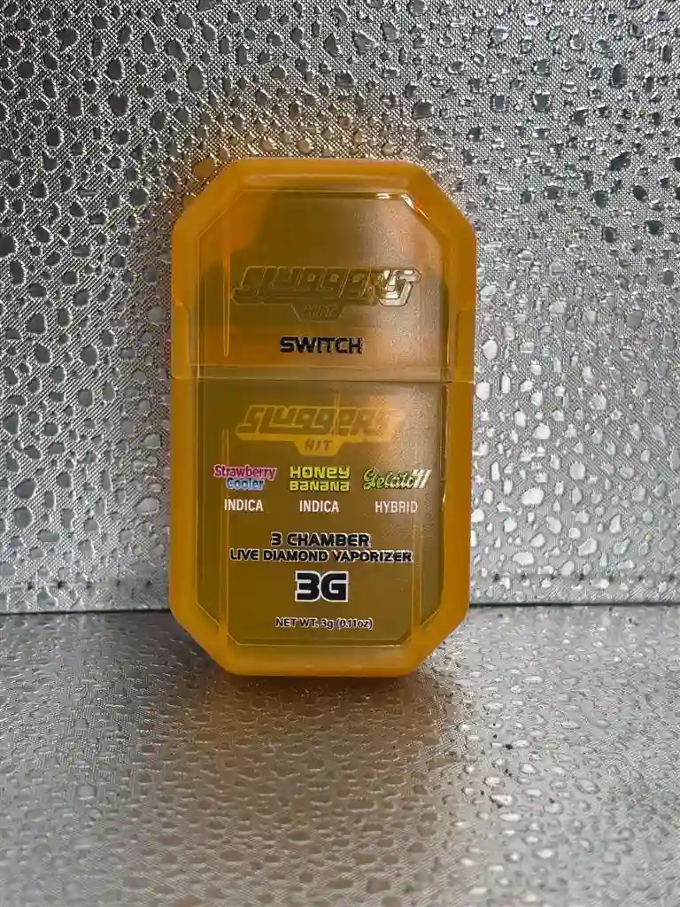 Sluggers Hit Switch 3g
