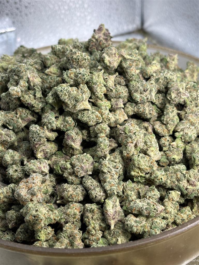 Splash Exotic Smalls