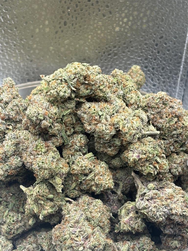 StrawberryGelato Exot