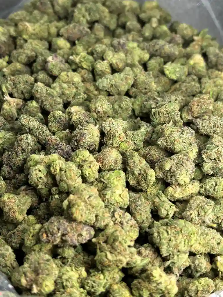 Strawberry Cherry Gelato Exotic Smalls