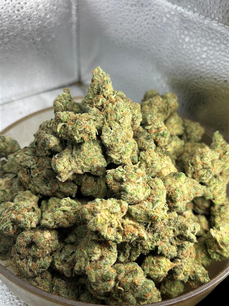 Super Boof Exotic
