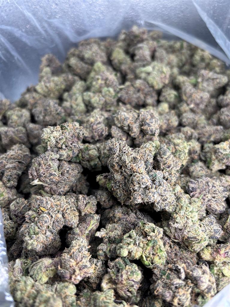 Super Blue Zkittles Exotic