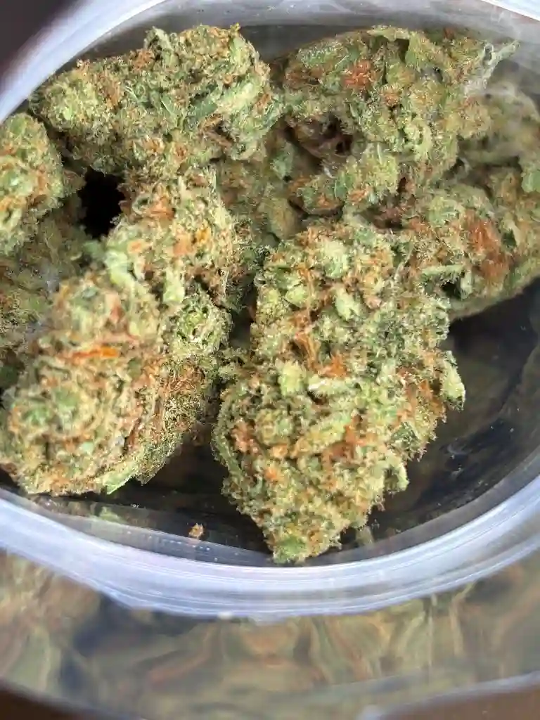 Super Lemon Haze Indoor