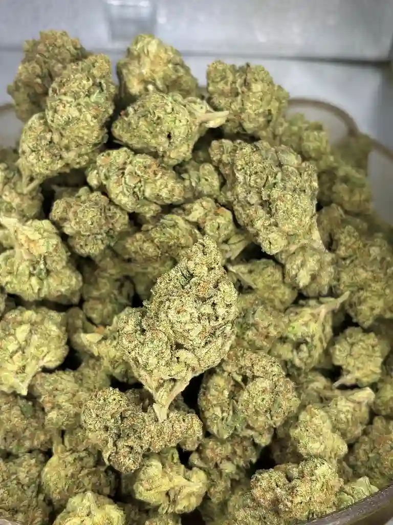 UK x Larry Bird Exotic