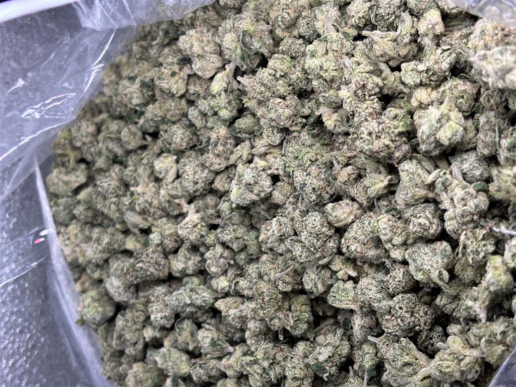 White Runtz Exotic Smalls