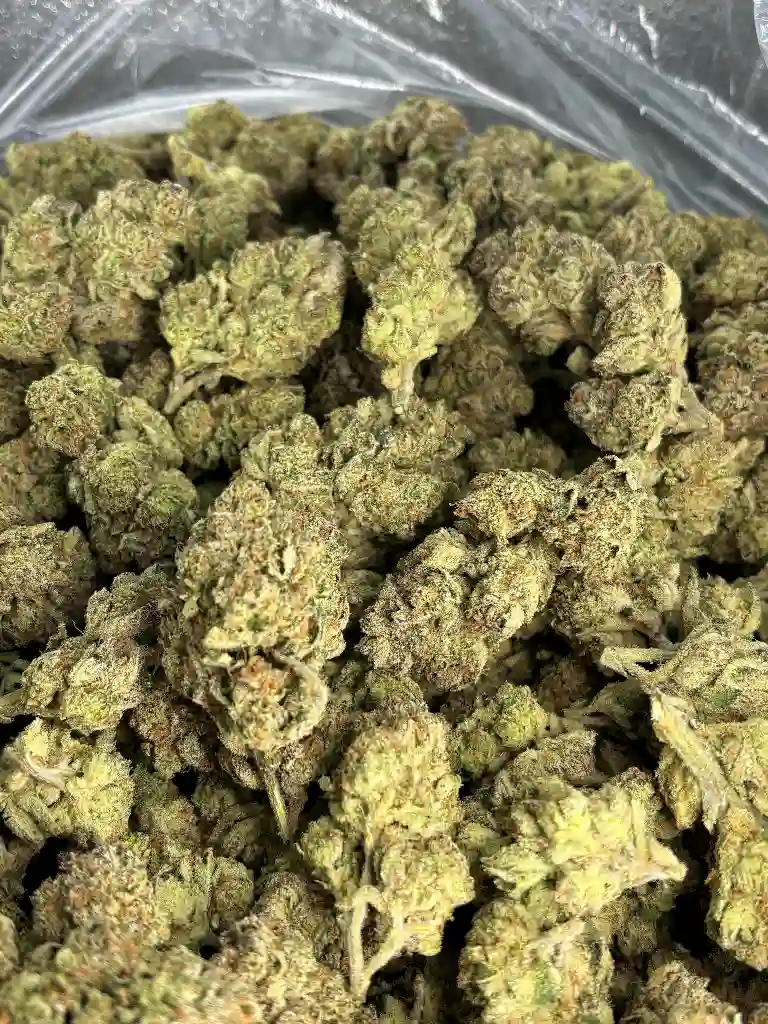 White Runtz Indoor