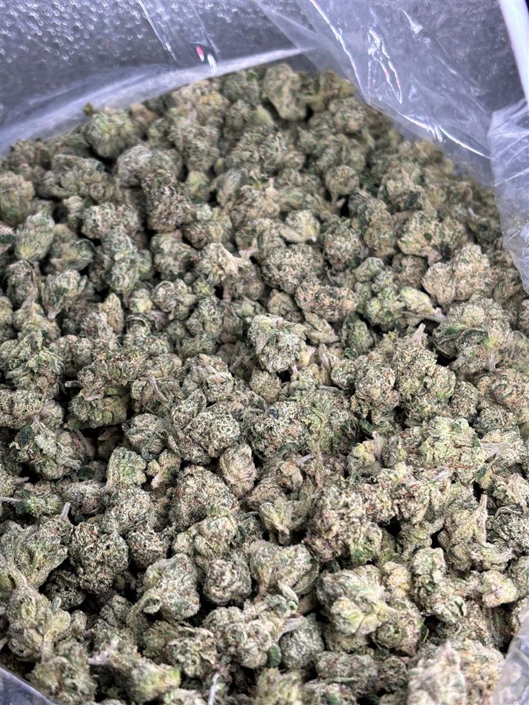 White Runtz Exotic Smalls