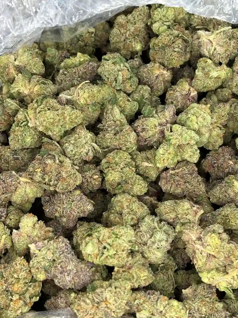 Zerealz Exotic
