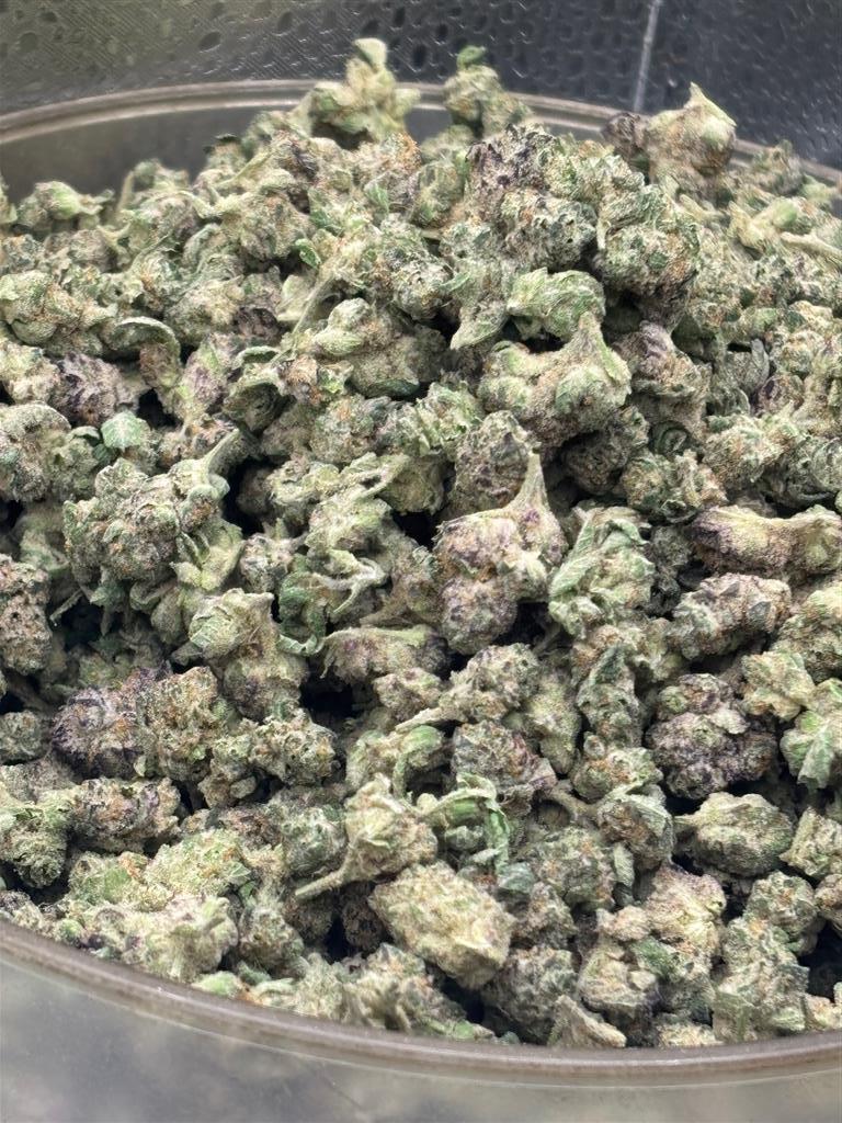 Zoda Pop Exotic Small